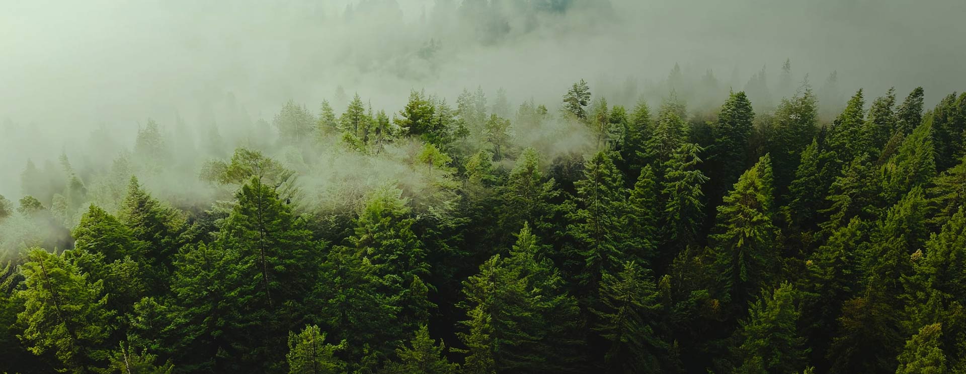 หนานทงซูฟางเท็กซ์ไทล์ บจก.